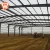 Import Strongwin supply farm design light weight steel structure warehouse for feed plant from China