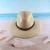 Import Summer new straw hat fashion jazz hat handsome flat along the beach hat mens straw fedora panama from China