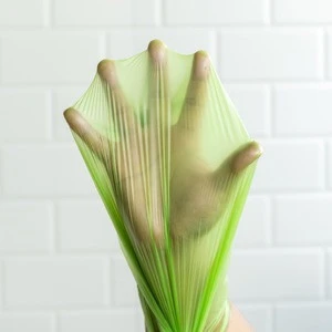Supermarket Grocery Food Grade Corn Starch Biodegradable Plastic Bag