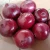 Import Supply 2020 New Crop fresh peeled onions fresh red onion low price from China