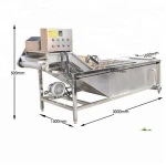 Surri leafy Fruits Vegetable Washer