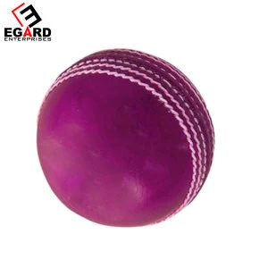 Team Sports Outdoor Indoor Play Custom Made Leather Cricket Ball For Team Training Leather Cricket Ball