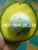 Import the tropical fruit avocado from Vietnam