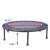 Import Top Quality Jumping Fitness Equipment Mini Gymnastic Trampoline from China