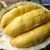 Import Top Quality Quality Fresh Durian Fruit for Importers from South Africa