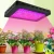 Travor high power 3000w dual chip plant lamp led grow light full spectrum for greenhouse indoor plants seed veg bloom