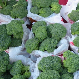 Wholesale Bulk Fresh Broccoli from South Africa