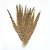 Import Wholesale Colorful Pheasant_feathers Ring-necked Pheasant Tail Feather for Carnival from China