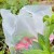 Wholesale Compostable Bags PLA Pbat Biodegradable Food Package Carry Bag