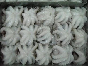 Wholesale Frozen Baby Octopus From Vietnam