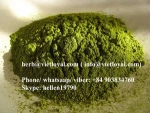 wholesale green tea