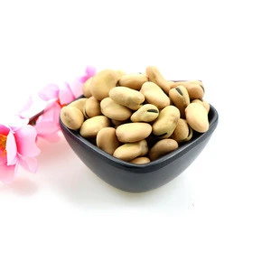 wholesale high quality Broad beans/ Fava beans