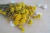 Import Wholesale High Quality Dried Chrysanthemum Flowers Preserved Flower from China