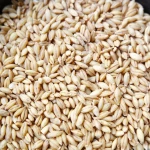 Wholesale market price barley grains, prices per ton