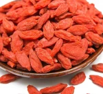 Healthy Dried Goji Berries, Dried Wolfberry in Best Price