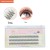 Wholesale Ombre Color Eyelash Extensions Volume Eyelash Extensions Private Logo Custom Packaging Lashes