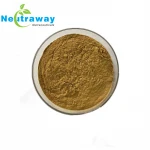 Wholesale reishi mushroom mycelium extract factory price reishi mushroom extract free sample reishi mushroom extract powder