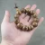 Import Wood bead bracelet high quality 20mm from Vietnam