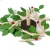Import Wooden Simulation Spelling Inserting Leaves Building Blocks Decorations Snowflakes Multicolor Baby educational children&#39;s toys from China