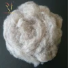 Wool Dehaired Cashmere Fiber Sale Price For Spinning