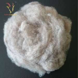 Wool Dehaired Cashmere Fiber Sale Price For Spinning