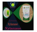 Xylanase EnzymeXY50BA