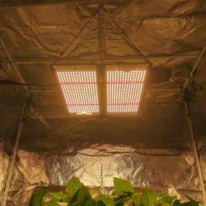 Yastar indoor grow horticulture 300W LM301b PCB Board Cob grow led light