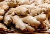 Wholesale organic fresh ginger for export