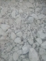 Plaster powder
