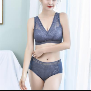 Gray bra and underwear bikni wholesale price