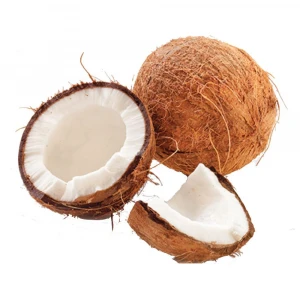 100% fresh coconut