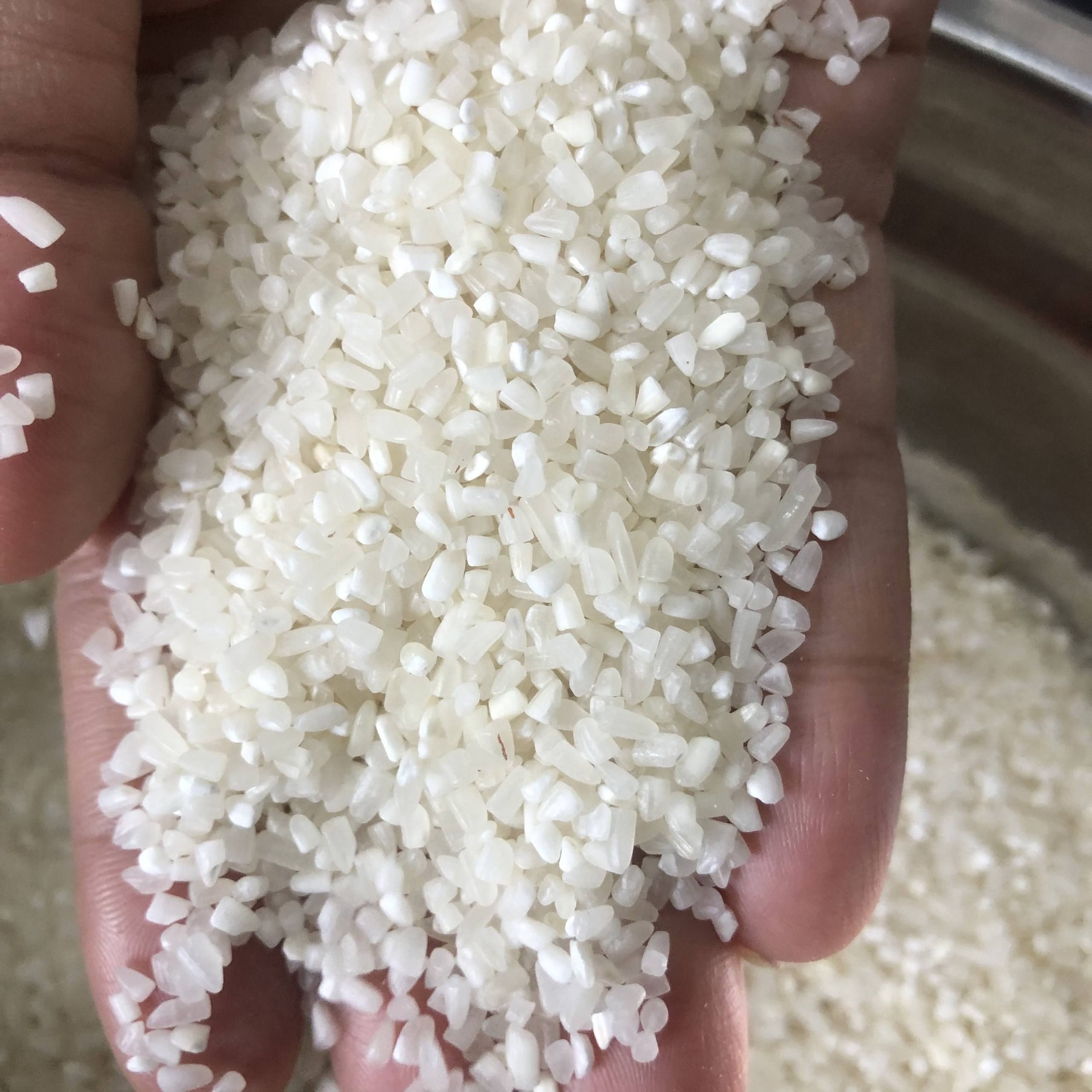 Extra Rice Image Buy Rice Extra Long Grain Basmati Rice 1121 Basmati Rice | Extra Long ...