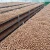 Import High Quality Organic Macadamia Nuts with Shell Bulk Export and Wholesale from South Africa
