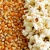 Import Top Quality Popcorn Maize Seeds Bulk Sale Premium Popcorn Maize Seeds Fresh Natural Healthy Best Market Price from South Africa
