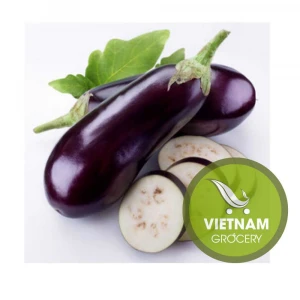 Vietnam High-Quality Fresh Organic Eggplant Wholesale