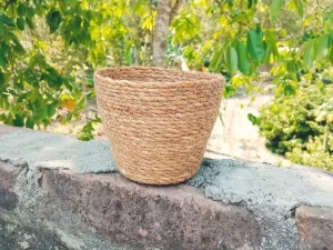 Plant pots items