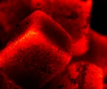 Coconut Shell Charcoal Briquette