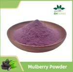 Premium Dried Mulberry Powder for Natural Health Supplements