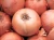 Import Onion from Algeria