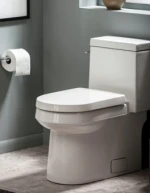 Water Saving Toilets