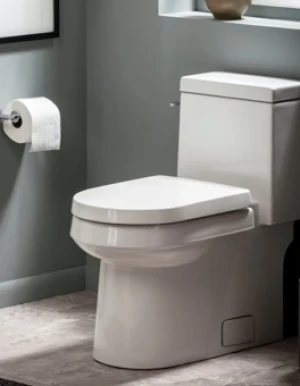 Water Saving Toilets