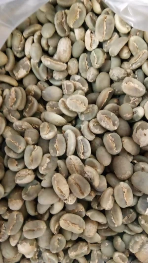 Coffee Green Beans