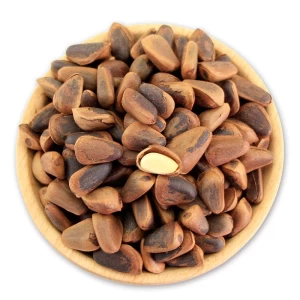 Low Price Dutched Pine Nuts Wholesale Suppliers / Cedar Nuts Inshell for Sale / Pine Nuts Inshell Exports