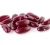 Import Kidney Beans from Belgium