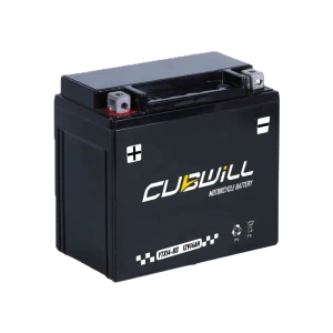 Genuine Cubwill Ytx14-BS High Power AGM Gel Motorbike Motorcycle Battery 12V14ah