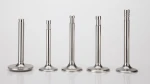 Turbocharger engine valve