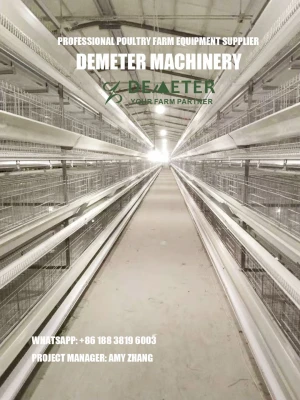 Poultry farming equipment layer chicken cage, modern farm automatic chicken cage from Top factory