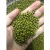 Import High Quality Mung Beans and Dried Green Mung Beans Whole for Exporting from South Africa