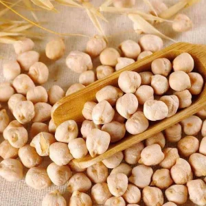 Direct from Supplier Premium Organic Dried Chickpeas in Bulk High Quality Chickpeas for Sale at Best Prices