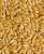 Import Grains and crops from Canada